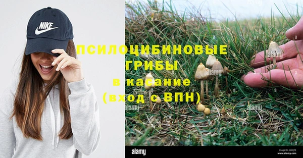 кокаин Богородицк