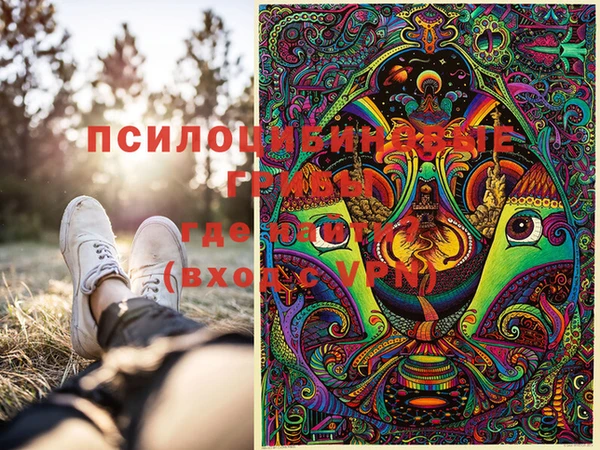 мдпв Богданович